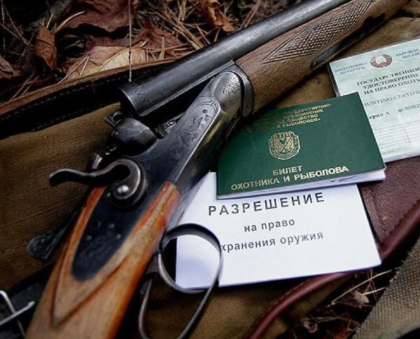 Оформлять разрешения на охотничье оружие в РФ будут по обновленным правилам